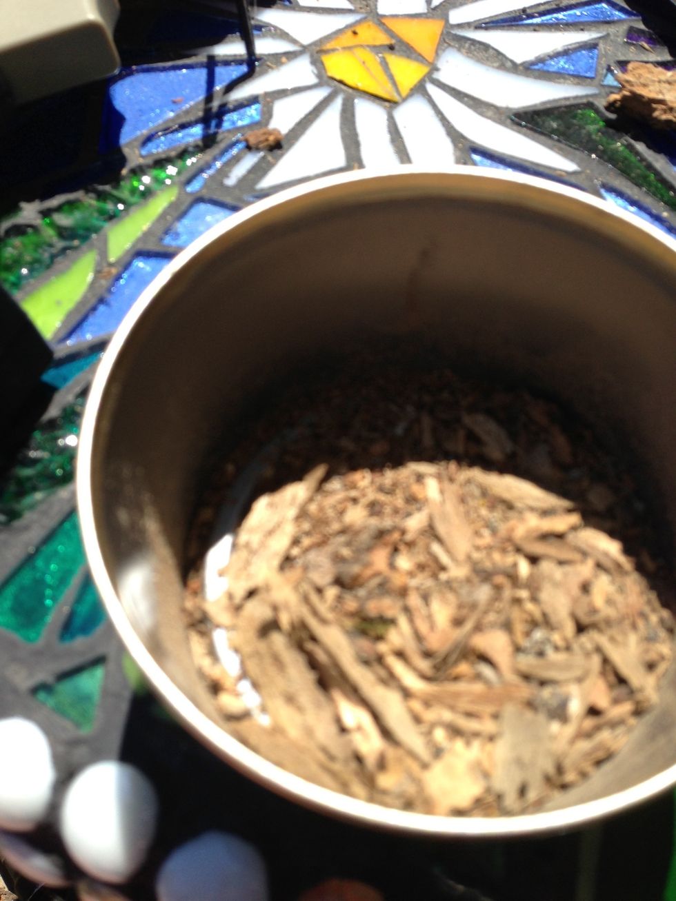 I saved all the sawdust from the bark. This is what is used in the empty spaces