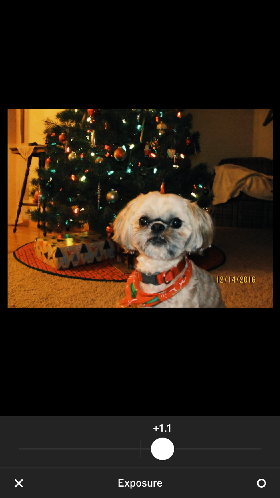 I selected the "G3" filter and also increased the exposure level by +1.1. Increasing the exposure makes the photo a little brighter.