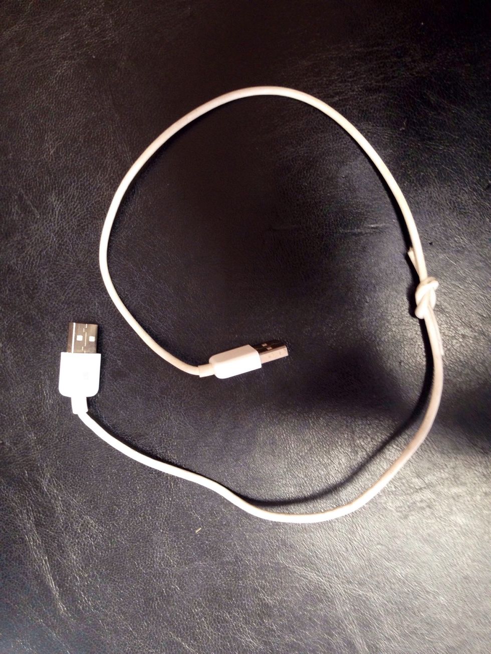 I simply cut two old iPhone cables and knotted them together.