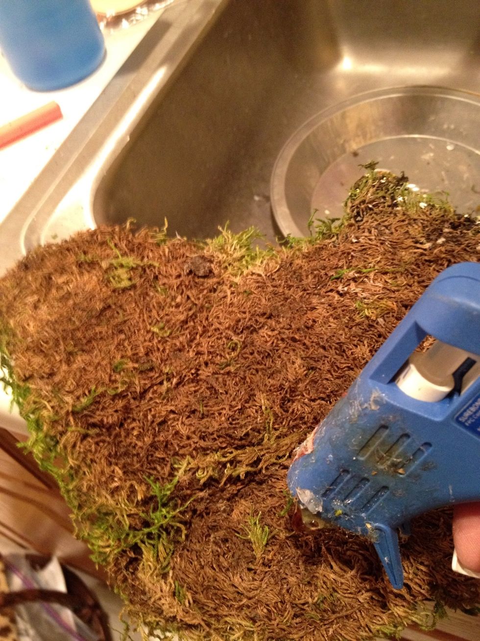 I simply used hot glue to attach the moss to the wreath. I used a ton of glue.