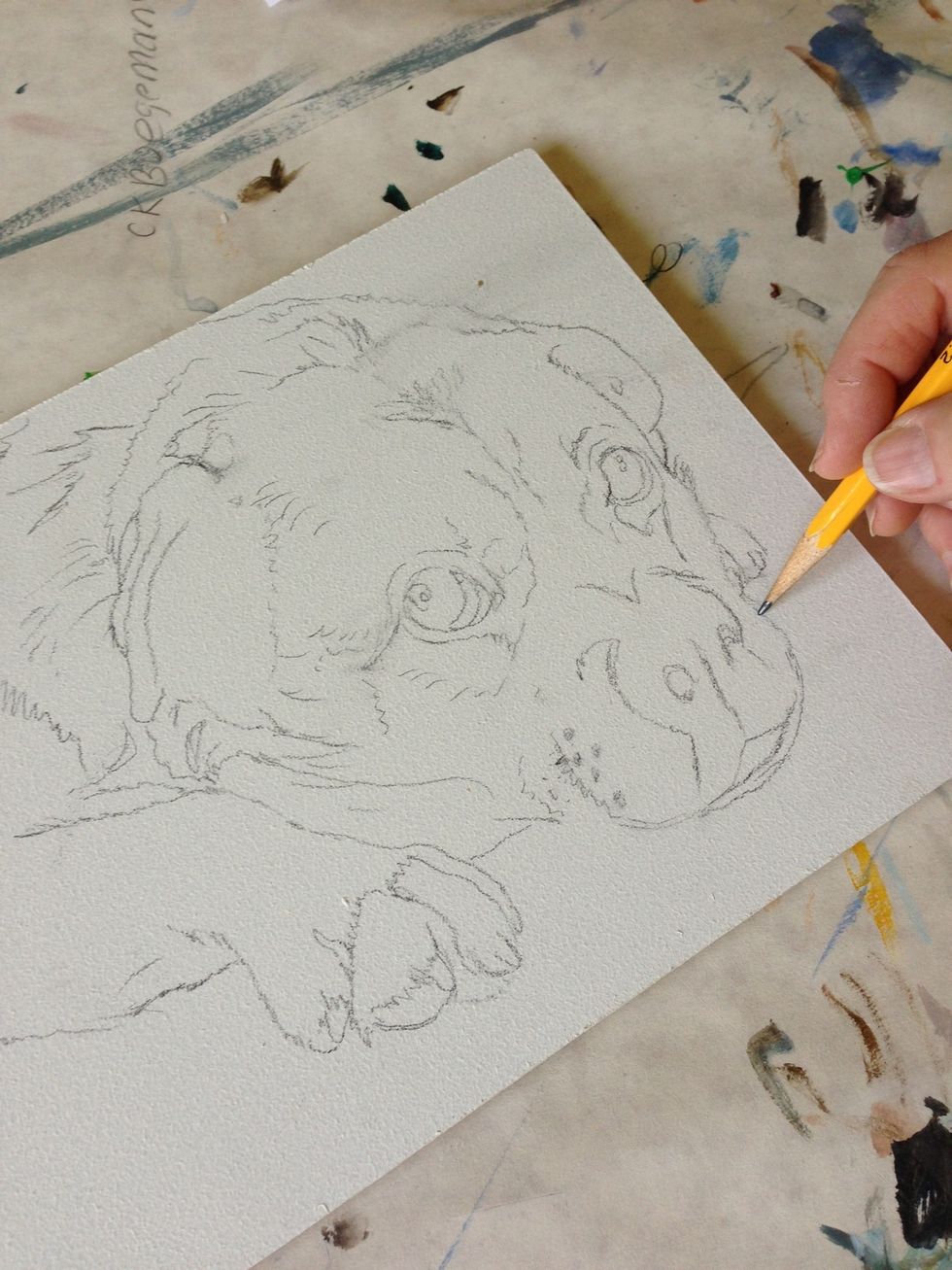 I start by drawing in pencil on masonite which has been primed using 2 coats of gesso, applied with a fine paint roller, giving it a slight stipple surface which is nice to paint on.