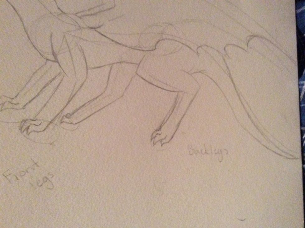 I started the tail (I sort of fixed it later on because I didn't like the look)