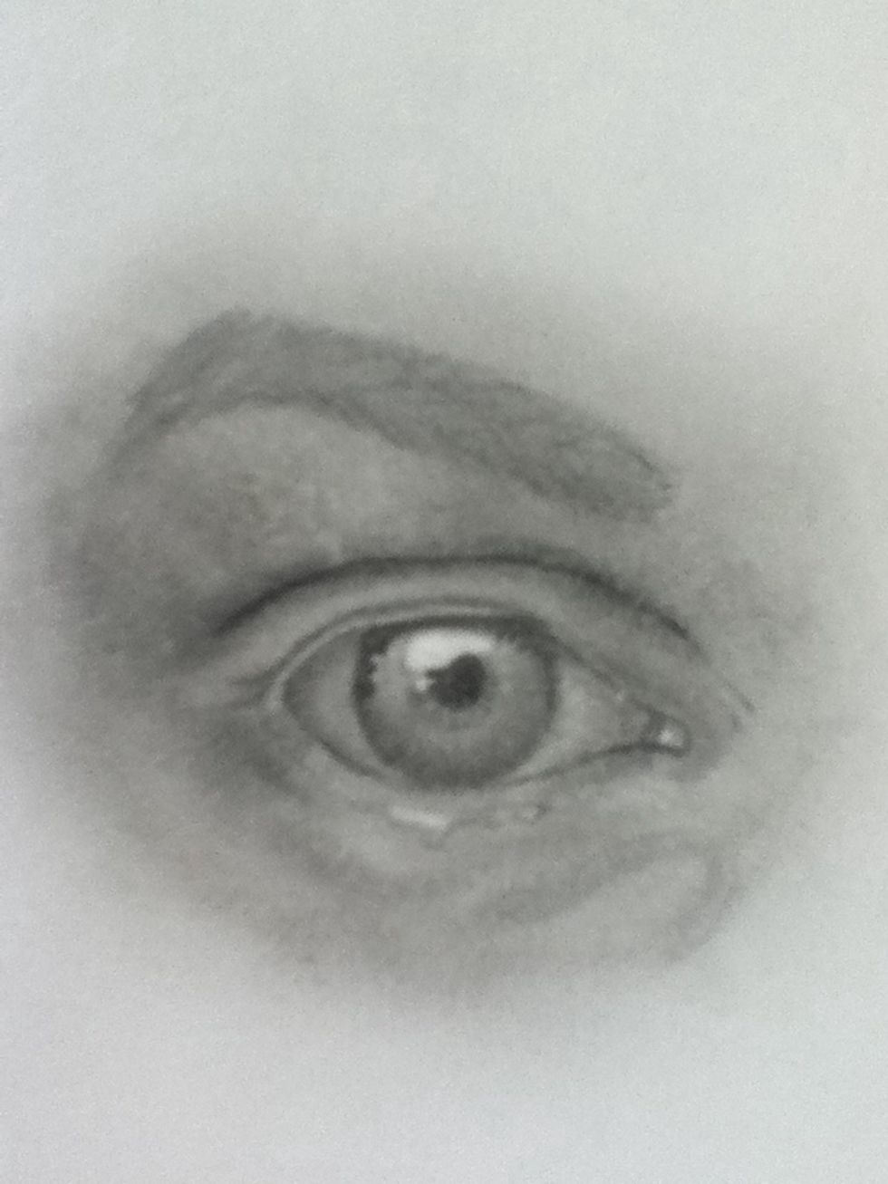 I took the small brush and brushed out the eyebrow.