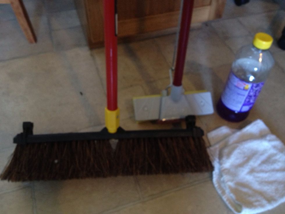 I use a deck brush cause I have a bad back and can't bend. You will need to use a brush similar .