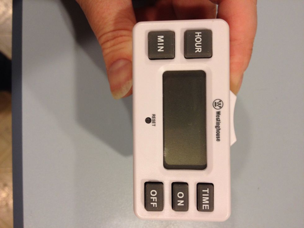 I use a timer for the light because I am forgetful. I just got this at an after Christmas sale.