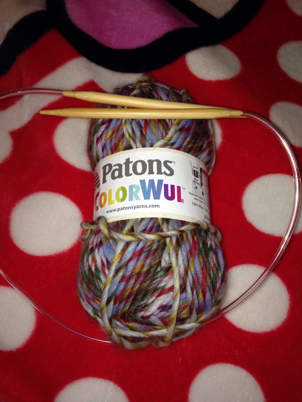 I used a Patons Colorwul yarn (the colors looked fun) and I used a size 7mm round knitting needle.