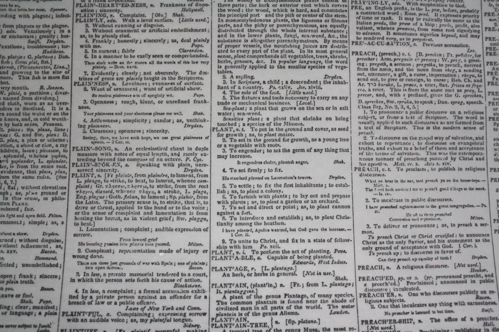 How to create a cracked glass vellum butterfly B+C Guides