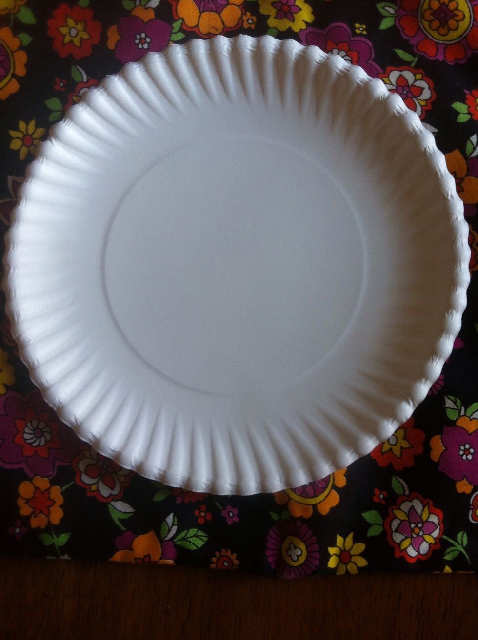 I used a regular sized cheap paper plate.