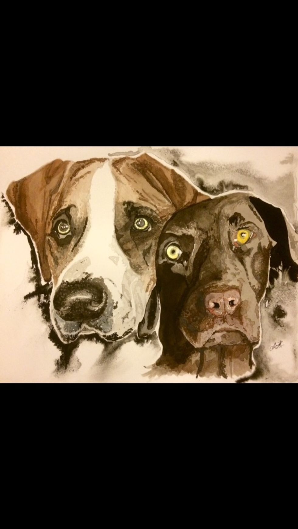 I used a special Gold ink for the eyes. It sparkles and shines just as a dogs eye would. The picture doesn't do justice for the feeling you get from it. If you have any questions, please comment!
