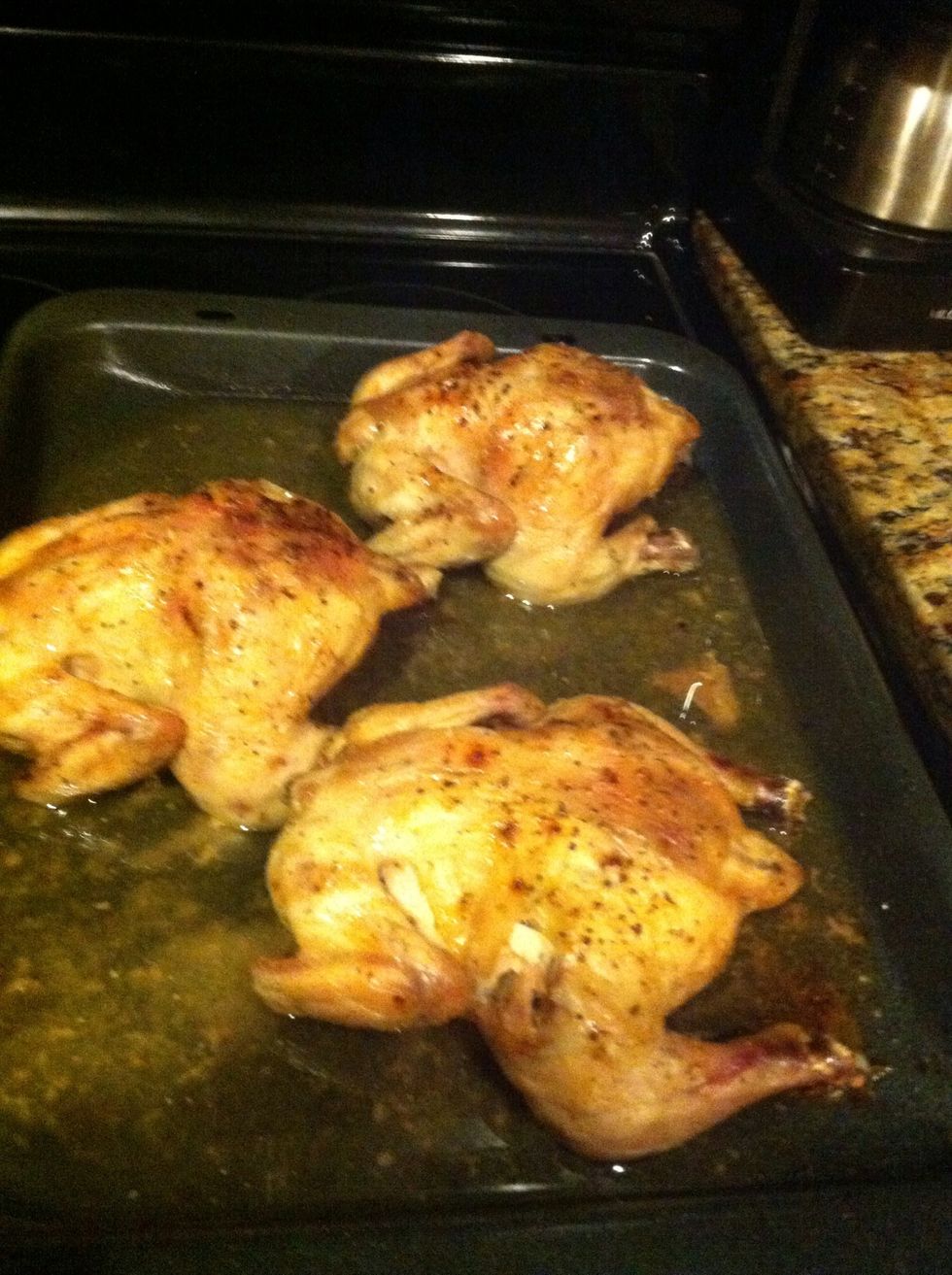 I used lil hens for the meat, done on my previous guide... you can use any chicken you have home ... take the meat out of the bones.. .. midle side pieces are better..