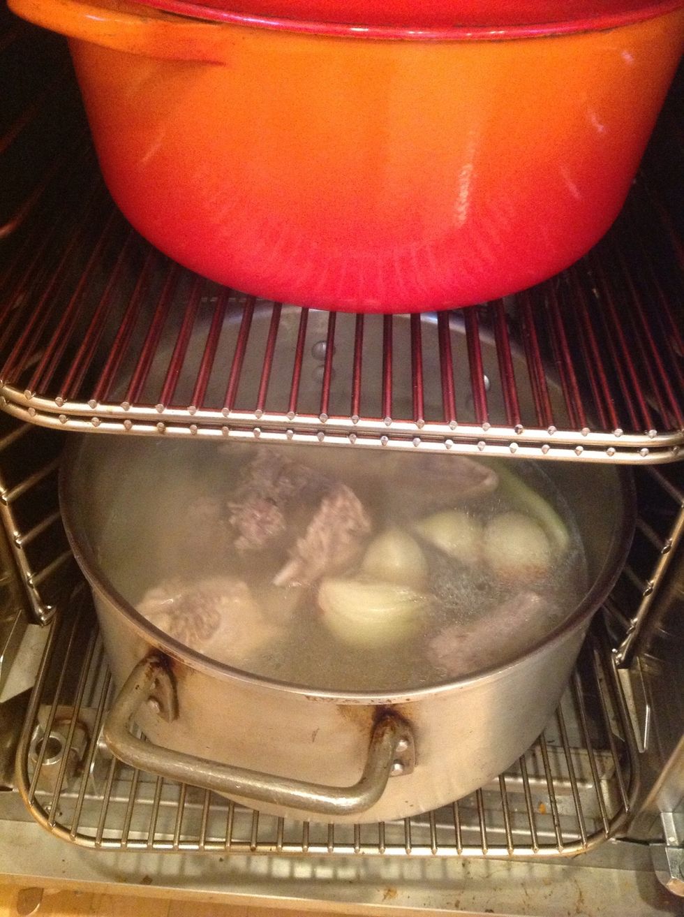 I used the duck bones and made a stock at the same time