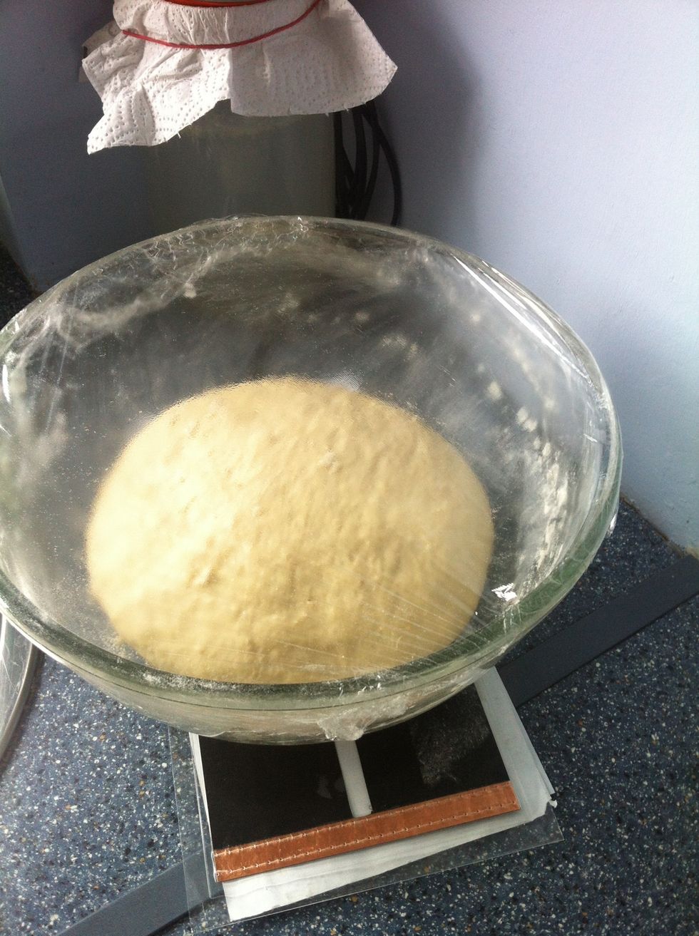 I've cleaned the kitchen &, been out to buy some ant killer (we have an infestation at the moment). The dough is rising well & the Ginger Beer in the background is nearly ready for racking off.