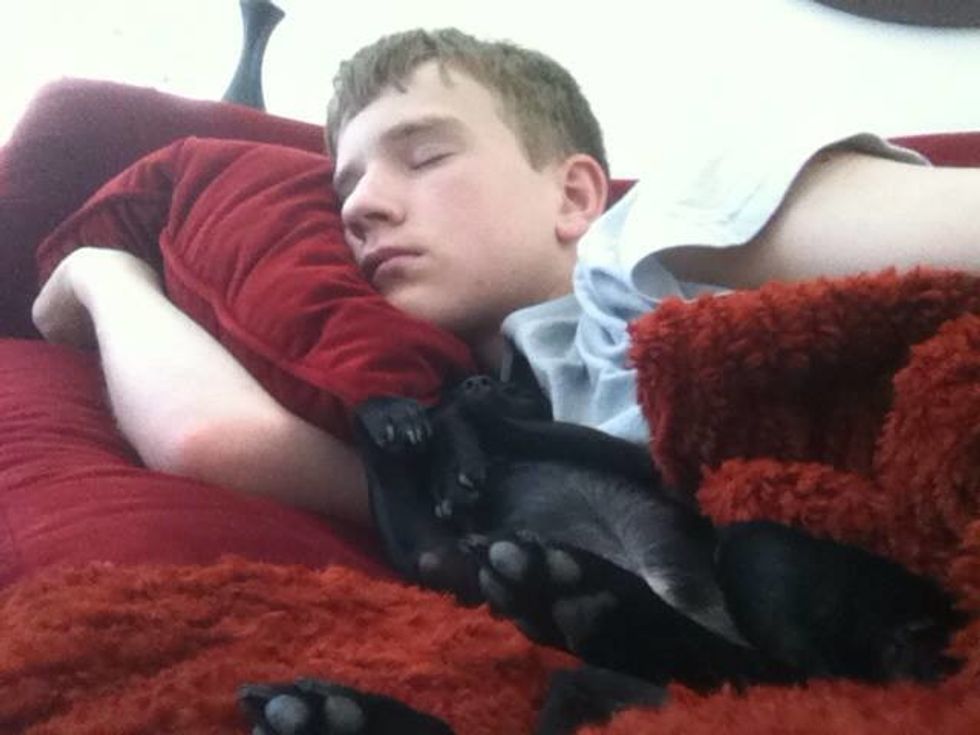 I was napping with jack jack