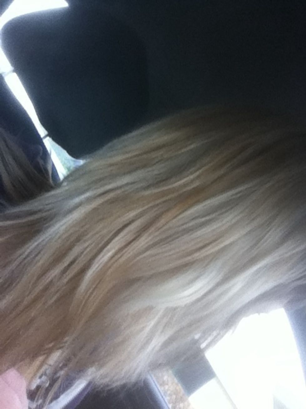 I went to another cosmetologist and she sectioned out the brown pieces and bleached them. This was the result. I recommend a pale ashy yellow tone.