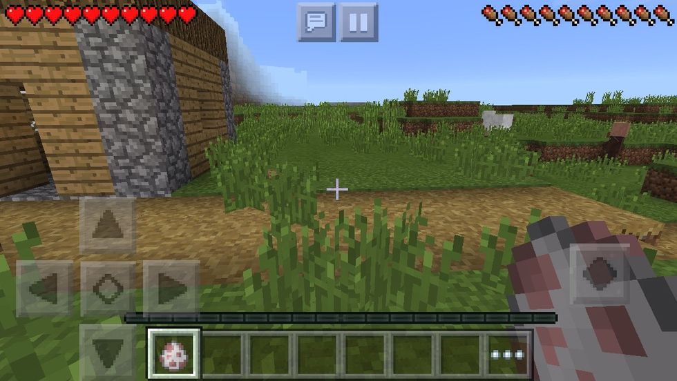 I will be naming a sheep so first you will need a sheep spawn egg in survival mode (use plug for Pe if you have an iOS device)