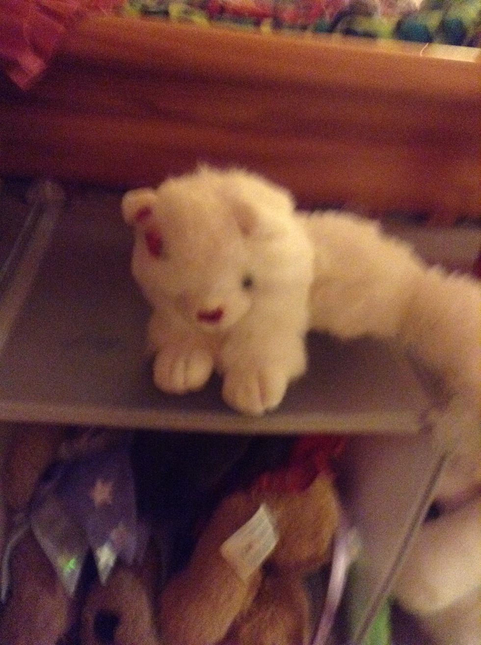 I will go with this one