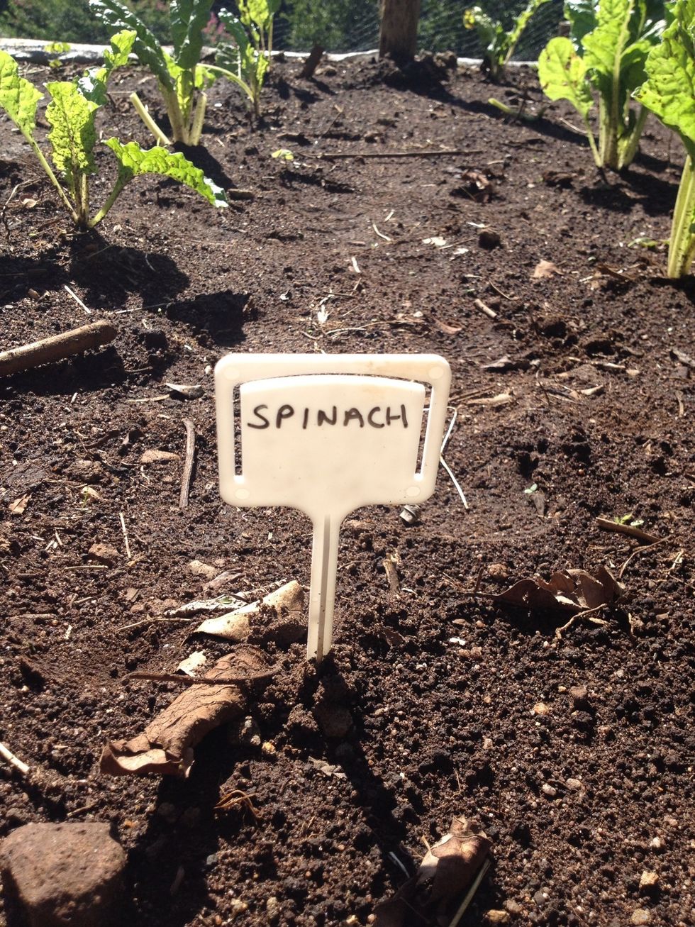 Identify and label your veggies using white tags