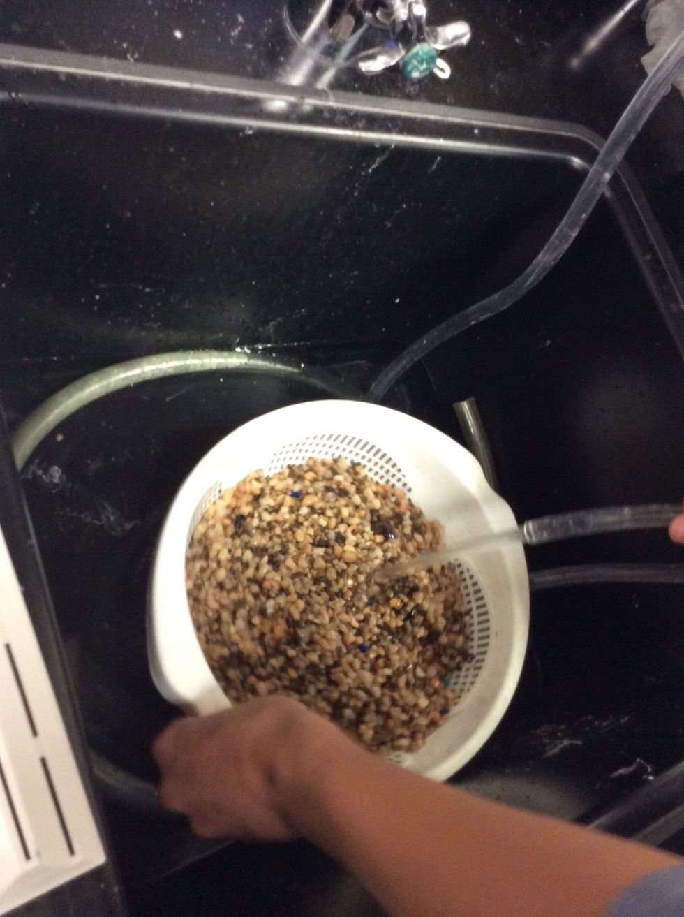If not already clean, take some time to throughly clean the rocks before placing them in the tank. I suggest doing so in a pasta drainer as we found it was the best way.