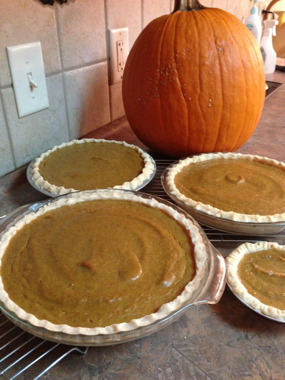 If only I could share the aroma with you! See my Guide "carve a Jolly Jack-o-lantern to see what I did with that pumpkin in the background.