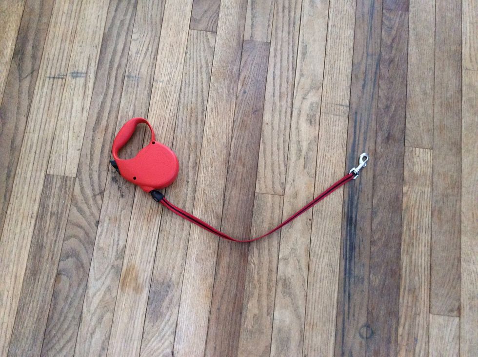 If that doesn't work and your home a lot, try putting him on a leash and pulling him to the pad when he's about to pee