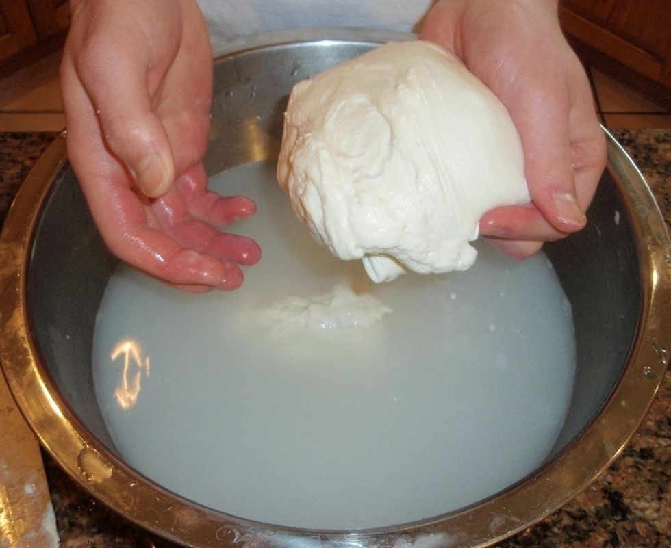 If the water is not too hot and the curd has formed into one solid piece, start to stretch it by letting the curd stretch downward with its own weight (wear rubber gloves to protect you from heat).