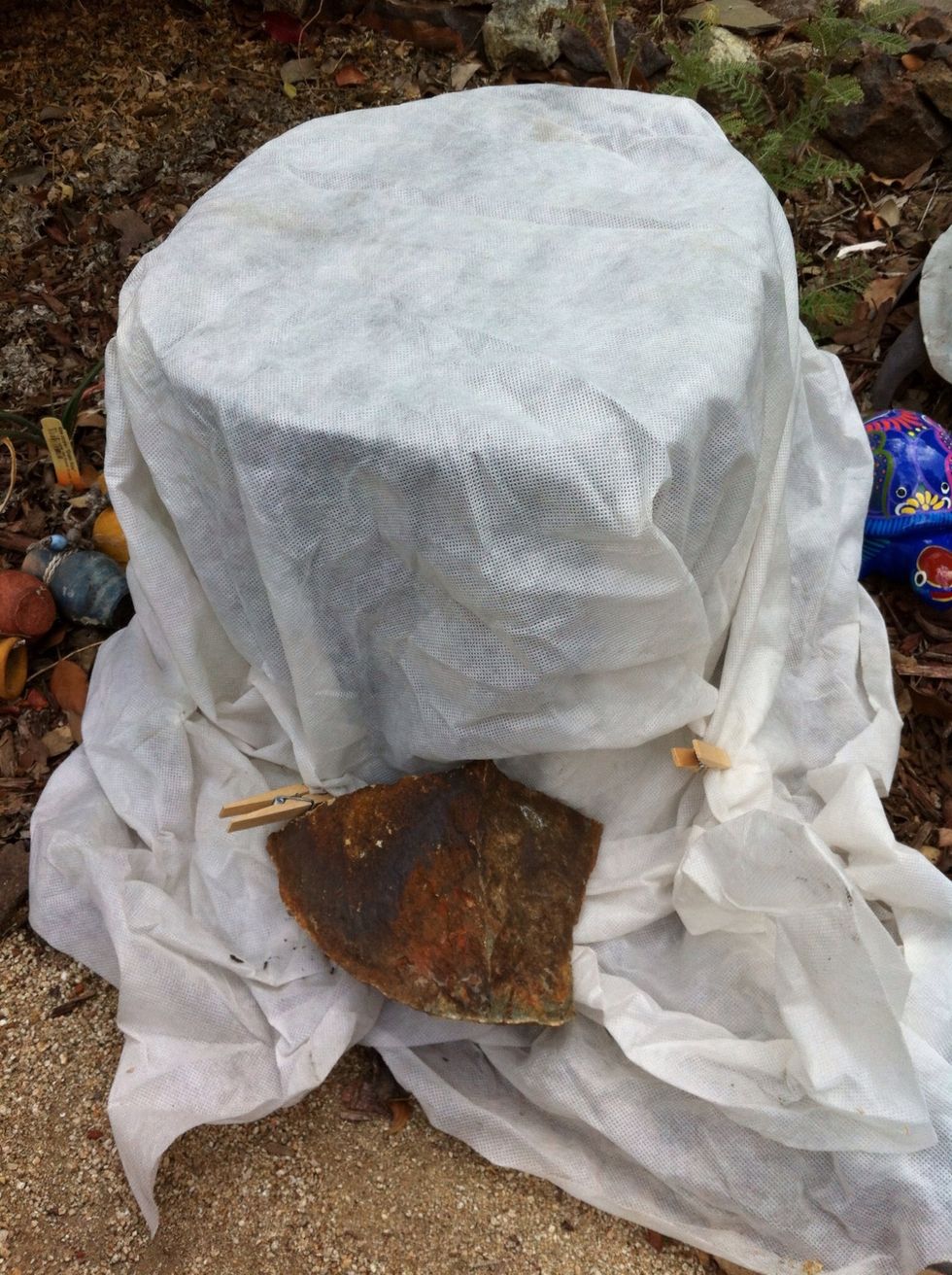 If wind is a concern, I use rocks to add weight and security.