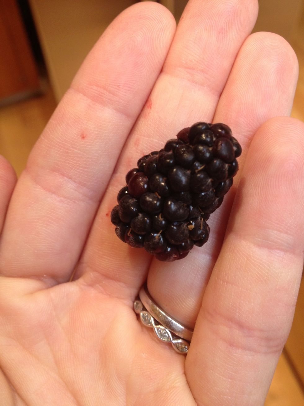 If you are not familiar with olallieberries, this is what they look like. Olallieberries are in season for a short window every summer. They are a blackberry hybrid and have a tangy sweet-tart flavor.
