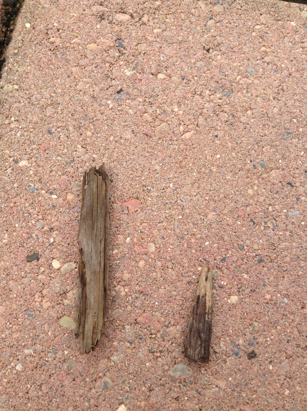 If you can't ding a can here is another way to make a fishing hook by using small wood pieces (I sharpened the small one)