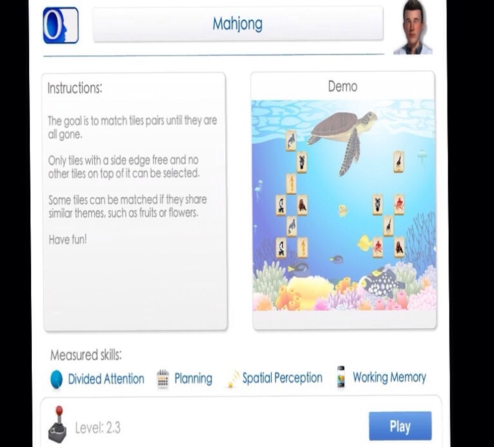 If you choose the play without neurons option, a screen will pop up with directions on how to play the game you've chosen.