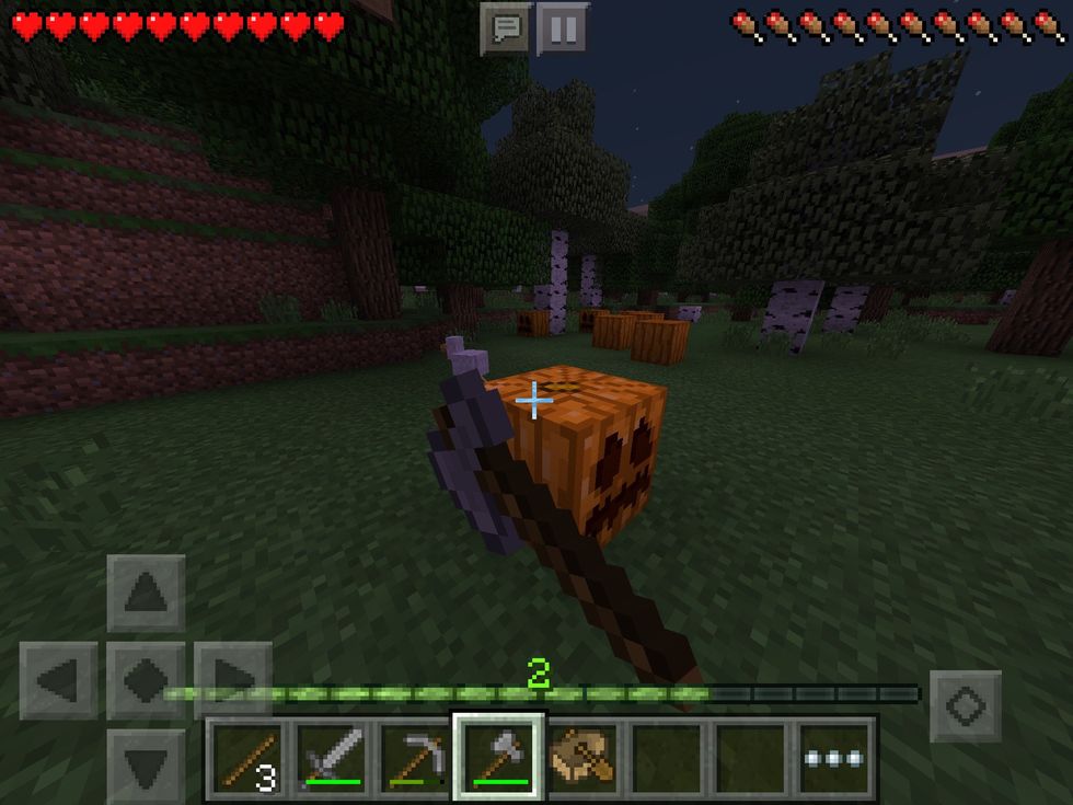 If you find any food, you can collect it. (I found pumpkins!)