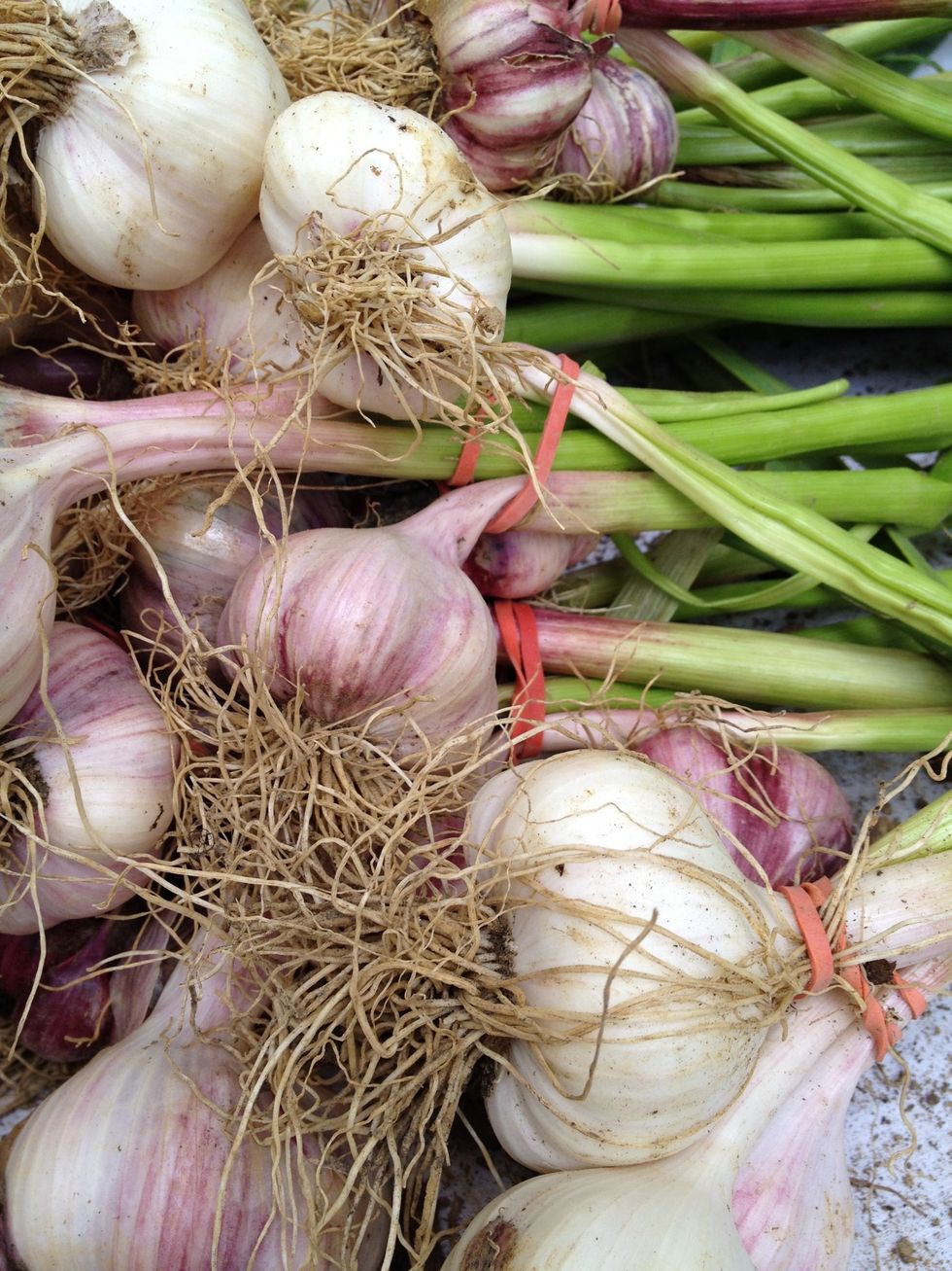 If you go to the market in the beginning of May you will find a lot of green garlic. Buy some.