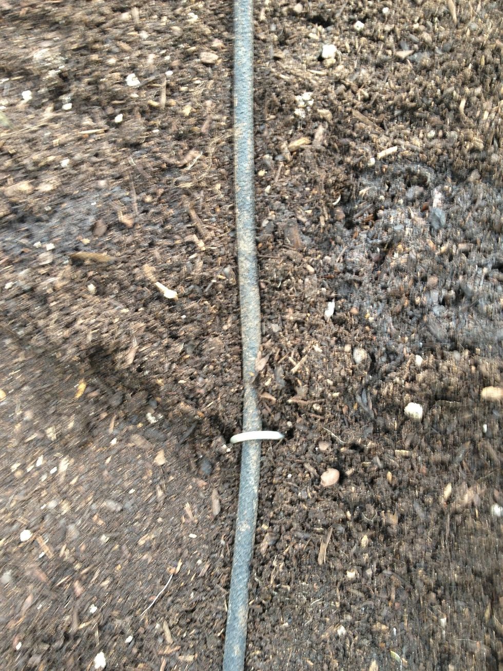 If you have a drip irrigation system, put it back in place. Make sure to stake the lines down away from where you just planted the seeds.