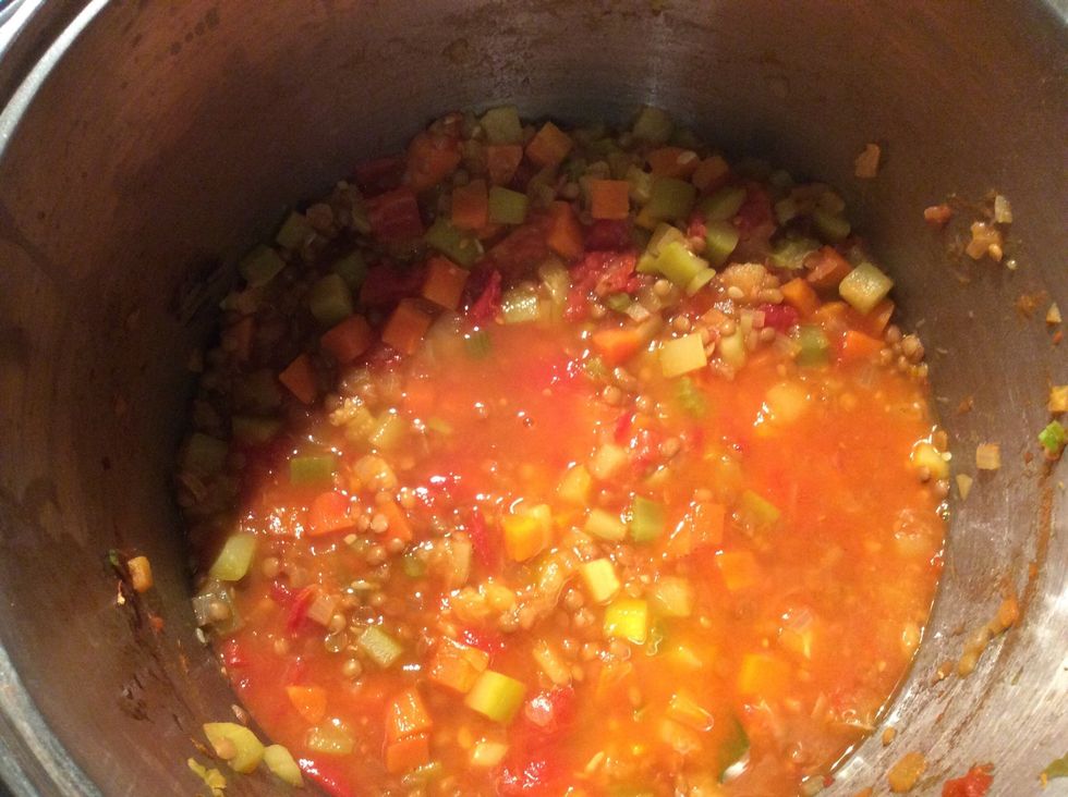 If you have cooked your soup and it is still a bit dry you can add some water or more vegetable stock if you like.