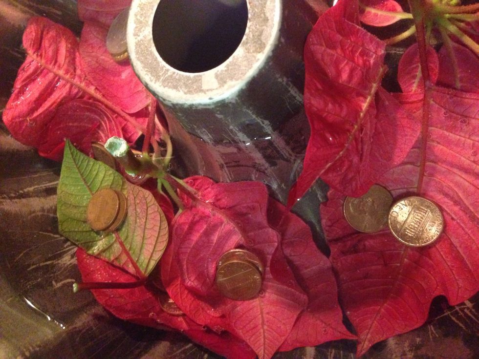 If you have leaves that need to be weighted down, use pennies or marbles to hold them down.