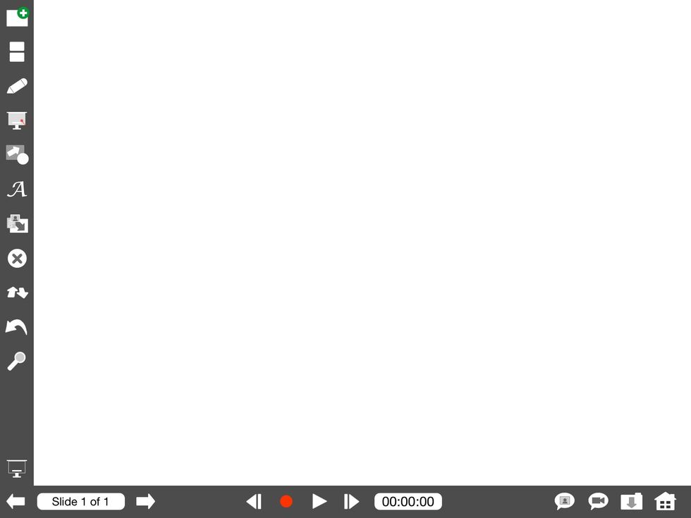 If you have selected Blank you will be presented a empty project canvas with controls on the left (tools) and bottom (recording and exporting)