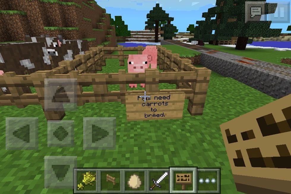 If you hold down on a pig with a carrot little hearts will appear, do it with another close one and they will make a little piglet. Awwww