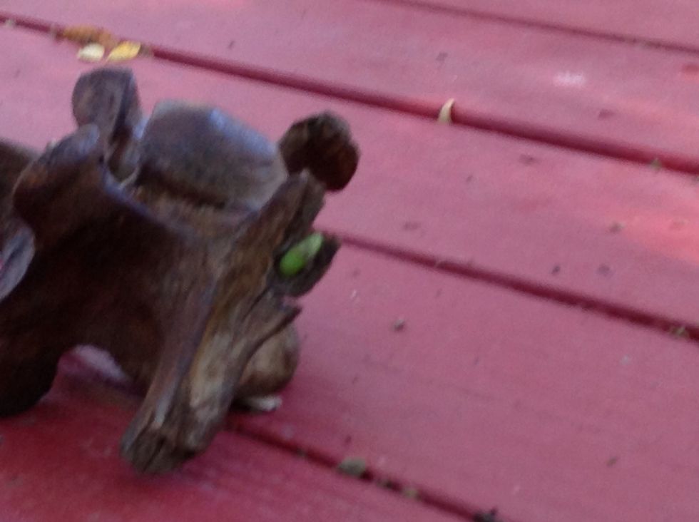 If you listen and cooperate with your group and teacher, you would be able to see a bunch of pelts and bones. You also find out, even bones can be habitats!