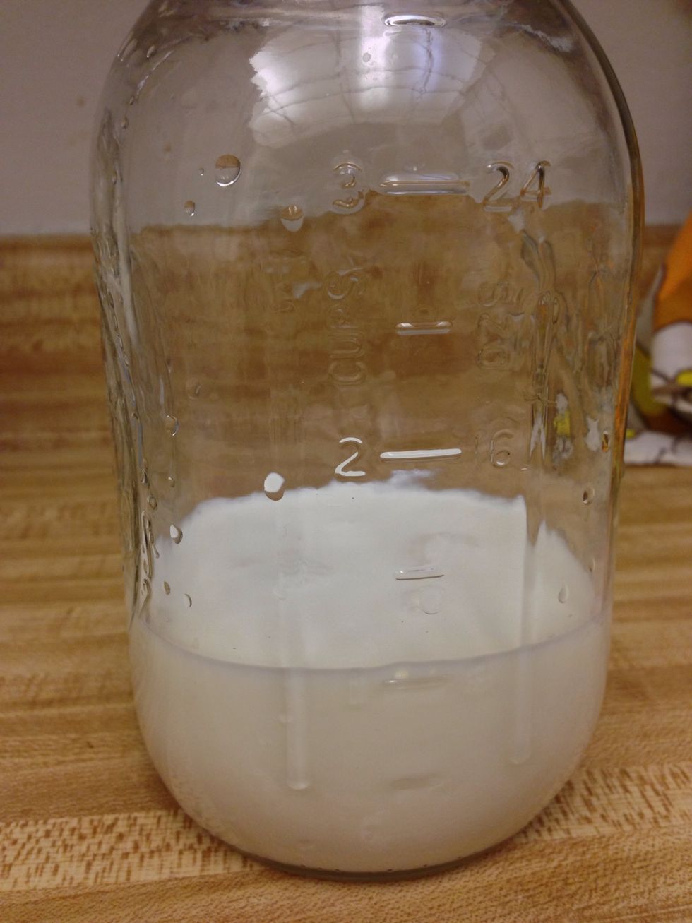 If you ordered a tsp of grains, you will pour one cup of milk, straight out of the refrigerator, over the grains.