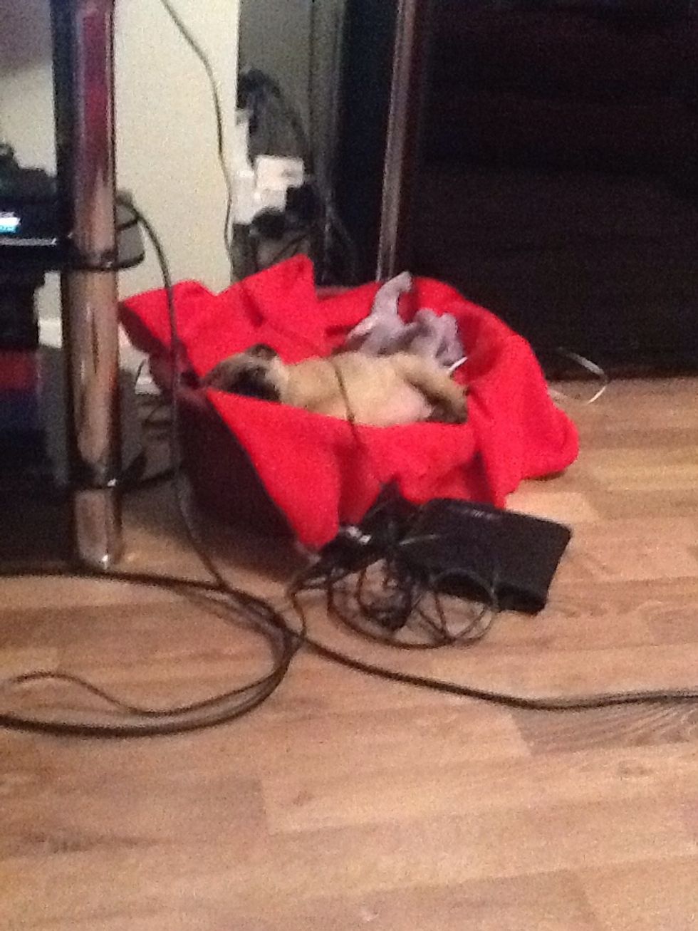 If you're too cold, get some extra blankets and/or put on the heating.