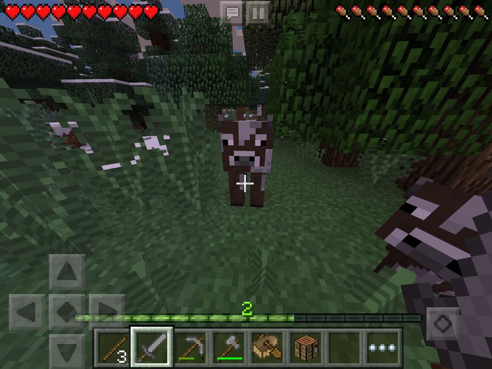 (If you see animals on the way, feel free to kill them!)