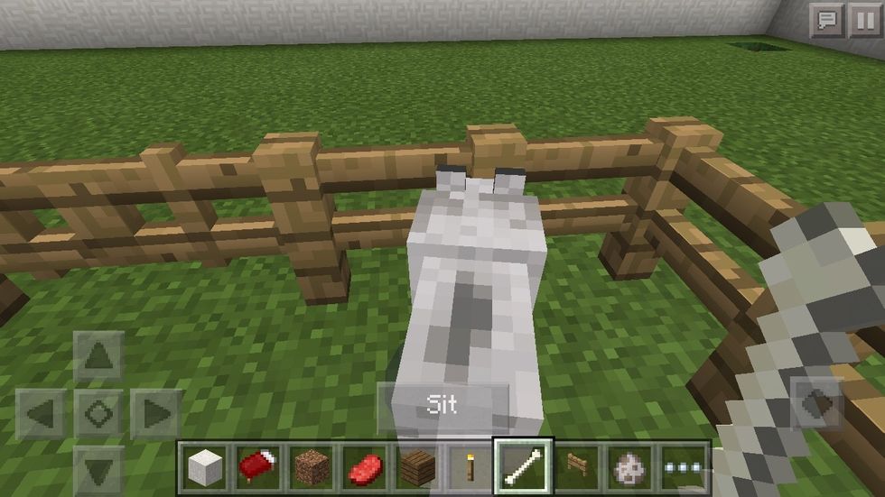 If you tell your dog to stand and you fly or walk away the dog will pop up somewhere around you. (It will follow you if not in a pen or sitting)