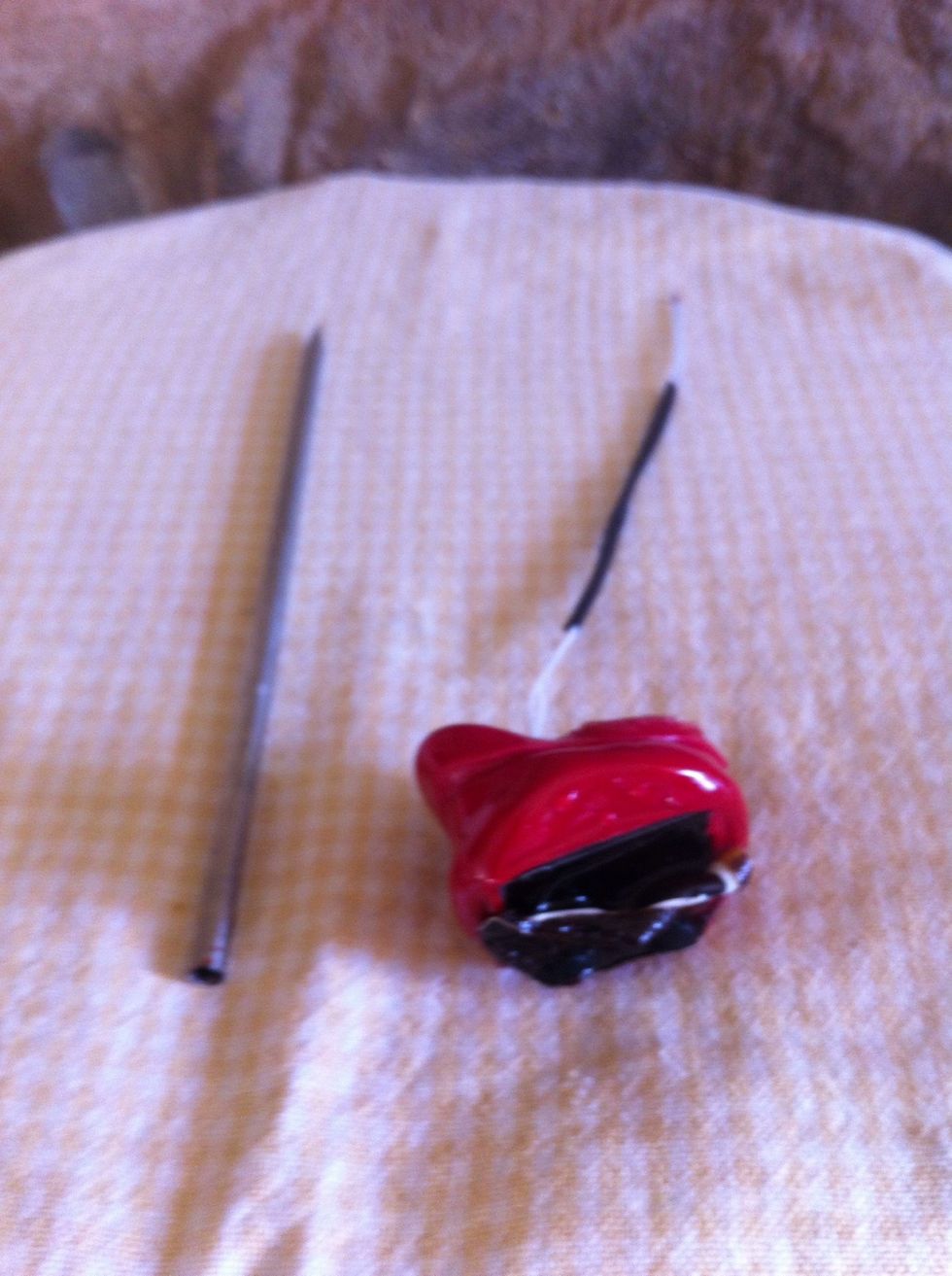If you've ever wondered what the inside of a digital thermometer looks like, try this experiment: ignore your wife's objections and insist that the "meltproof" plastic should remain in the bird. . . .