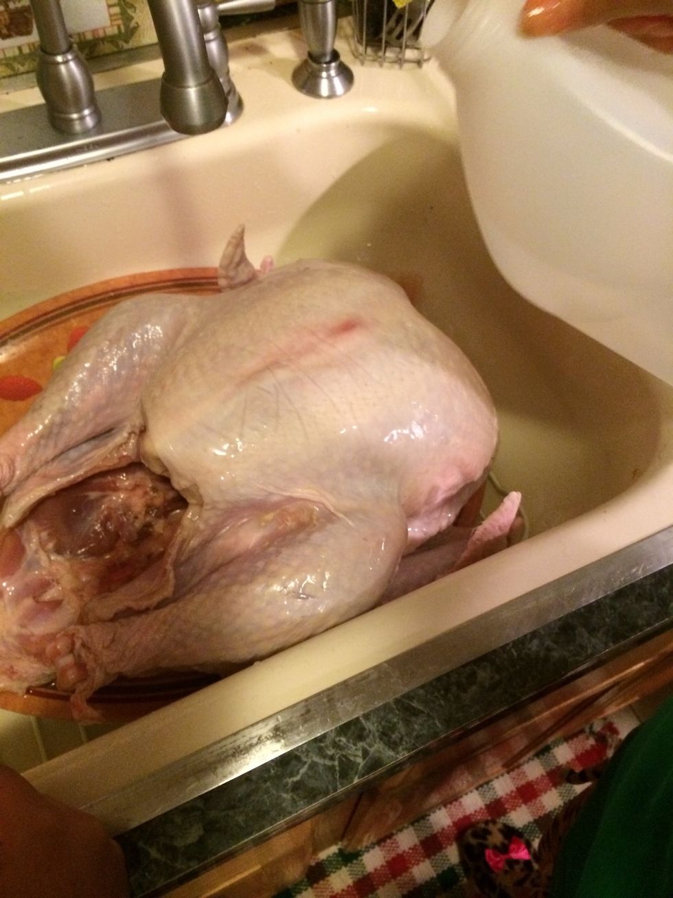 If you watch my guides you all know i wash my poultry with vinegar. This is what i am doing now.
