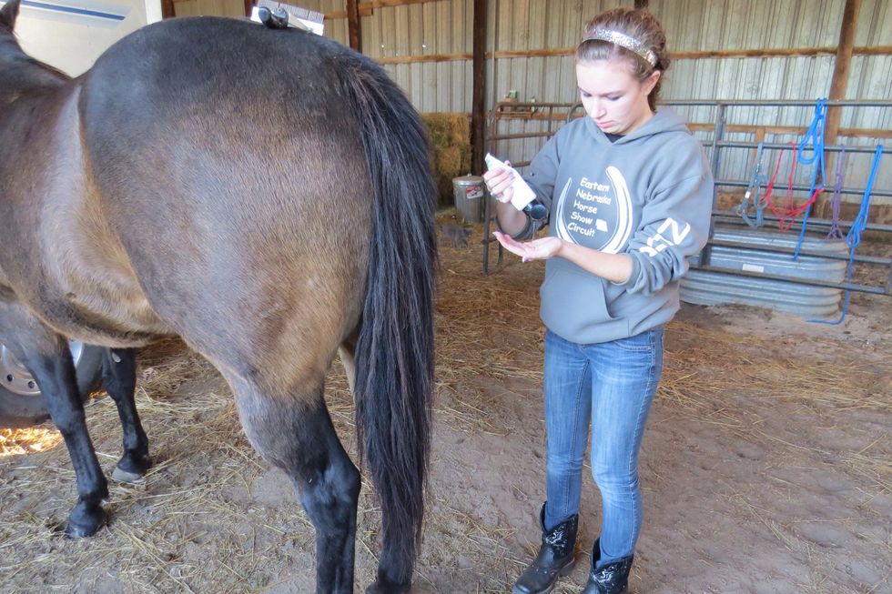 If your horse's tail (or mane) is really tangled, you may want to use a detangler before you start combing through it. I use Cowboy Magic.