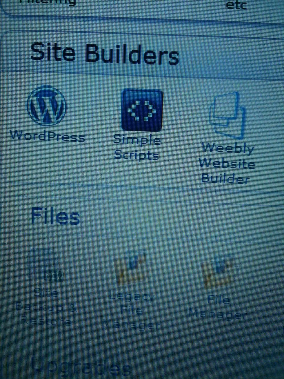 If your host allows you to have "Simple Scripts" or "Site Builders" then Wordpress should be included. Click on it and follow to the next step!