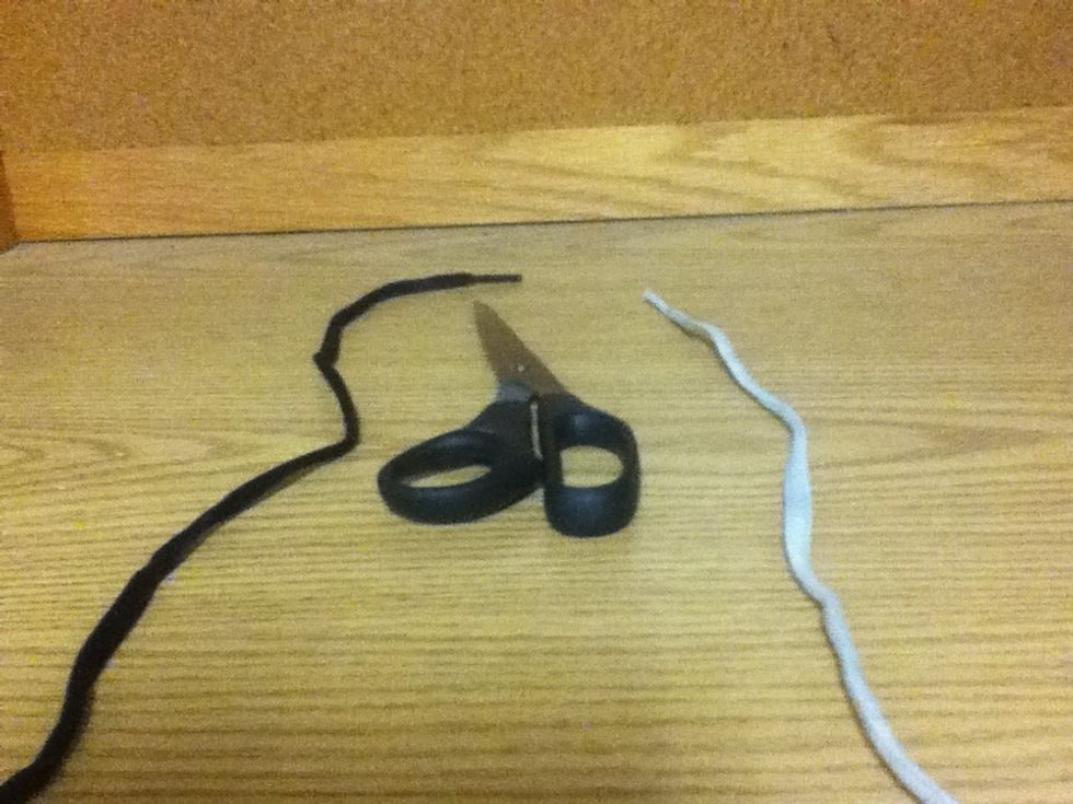 If your thinking my fishing lines look a lot like shoe laces, good job. I'm going to use shoe laces in order to help see what to do with each line and to simply see the lines.