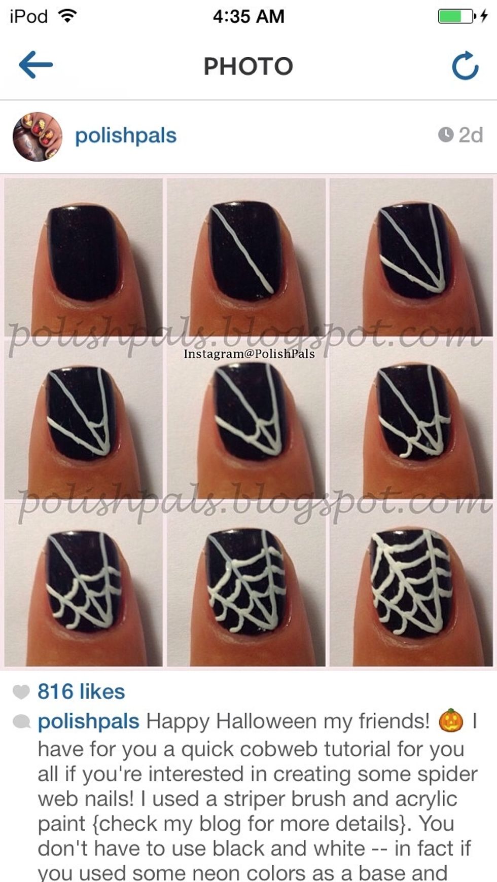 IG @PolishPals