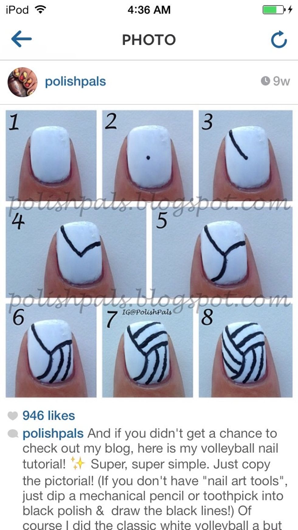 IG @PolishPals