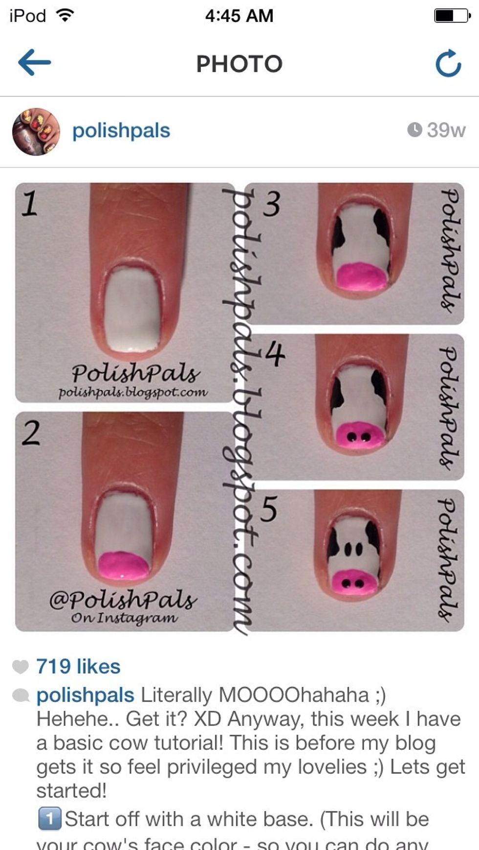 IG @polishpals