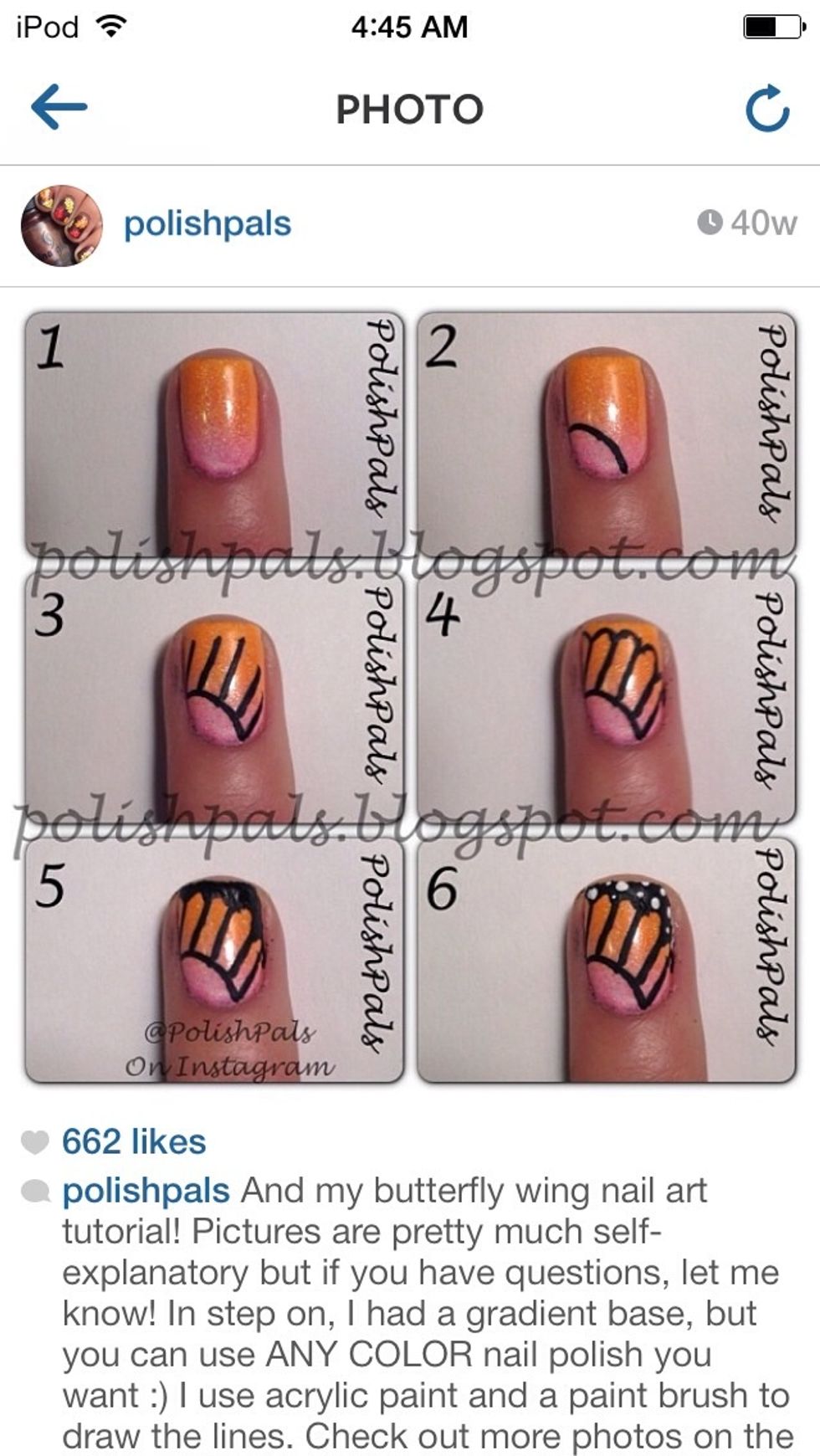 IG @polishpals